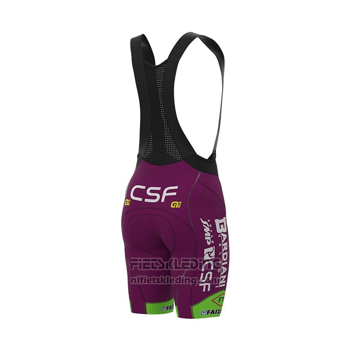 2022 Fietskleding Bardiani Csf Violet Groen Korte Mouwen en Koersbroek